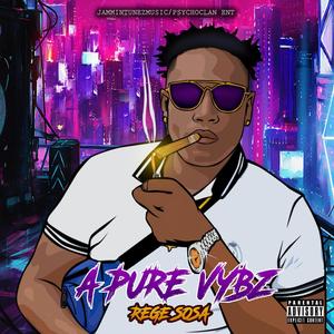 A Pure Vybz Trappa (Explicit)