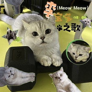 李宝宝之歌（Meow Meow）