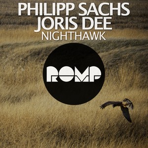Nighthawk (Original Mix)