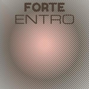 Forte Entro