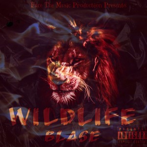 Wild Life (Explicit)