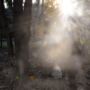 好奇怪，我好像见过你