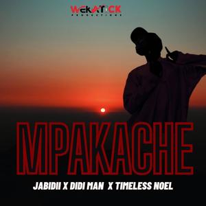Mpakache (feat. Jabidii & Didi Man)