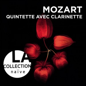 Quintette avec Clarinette, K. 581 - I. Allegretto con Variationi