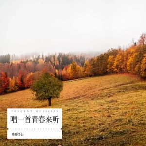 星晴 + 回到过去 + 最后的战役 + 爱我别走-晚睡伴侣