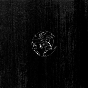 My Light is Brilliant