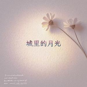 城里的月光 (R&B版)
