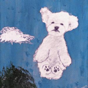 flydog