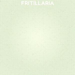 Fritillaria