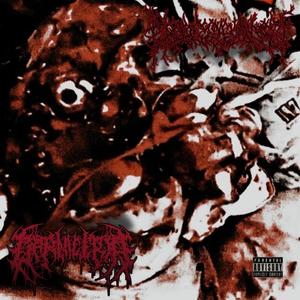 Traumatic Cranial Deformation (feat. GRUESOME END) [Explicit]