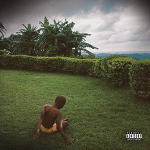 FALLS DOWN (Explicit)