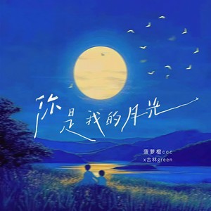 你是我的月光