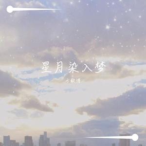 星月染入梦