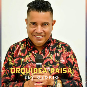 Orquídea Paisa