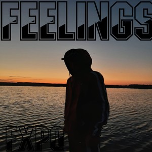 Feelings