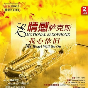 爱情的故事 (Inst.)