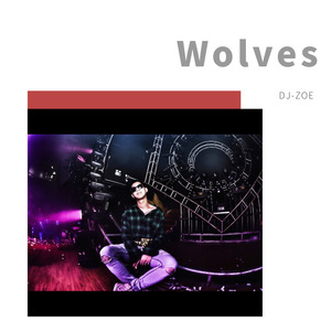 Selena Gomez-Wolves-（Zoe.Edit） (DJ-ZOE remix)
