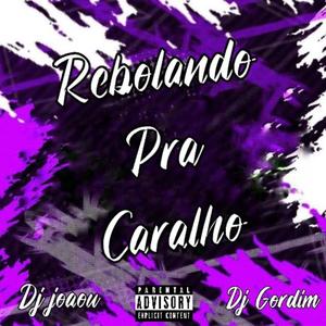 Rebolando Pra Caralho (feat. Dj Gordim) [Eletrofunk]