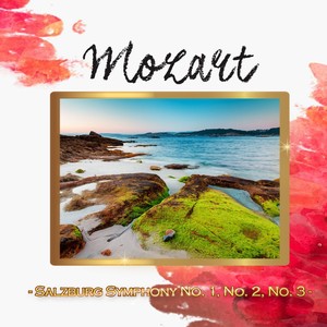 Salzburg Symphony No. 2 in B-Flat Major, K. 137 - III. Allegro assai