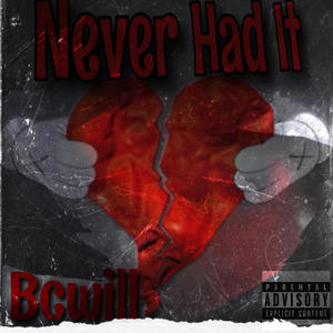 Never Had It (Explicit)