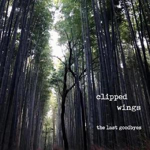 Clipped Wings (feat. alexbakermusic)