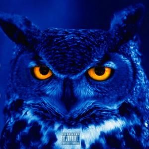 Night Owl