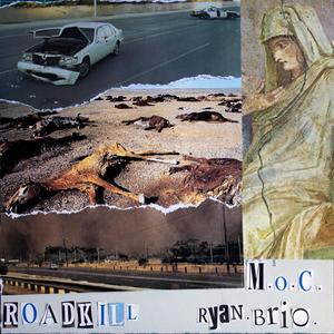 Roadkill (feat. Ryan brio) (Explicit)
