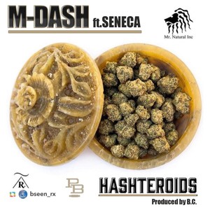 Hashteroids (feat. Seneca) [Explicit]