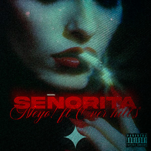 Señorita (Explicit)