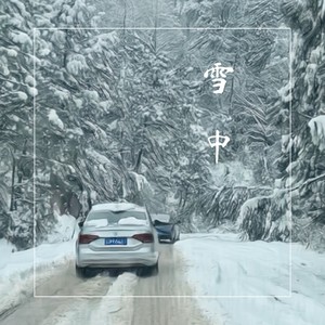 雪中