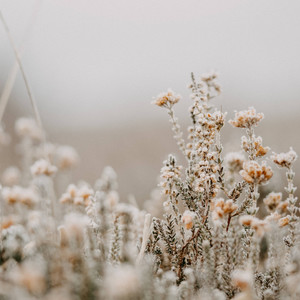 Slumbers (Original Mix)