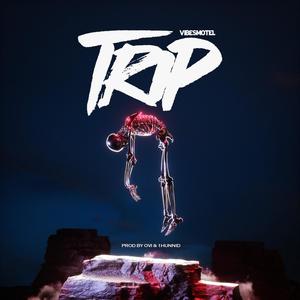 TRIP(feat. 1hunnid)