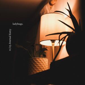 ladybugs | 11/23 Journal Entry (Explicit)