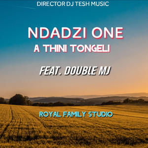 A Thini Tongeli (feat. Ndadzi One, Double Mj & DJ Light Beats)