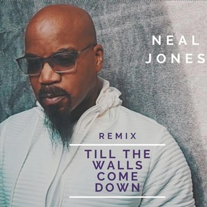 Till the Walls Come Down (Remix)