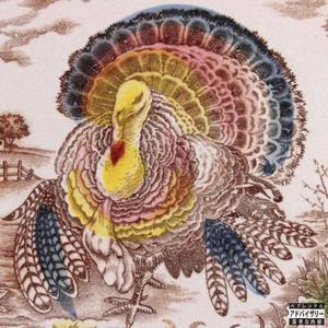 Turkey Day (Explicit)