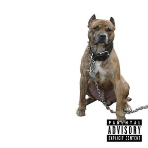 PELIGROSA (Explicit)