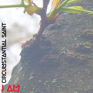 The Root (feat. DVNNY BVNDO & Chase_theConsci3nce) (Explicit)