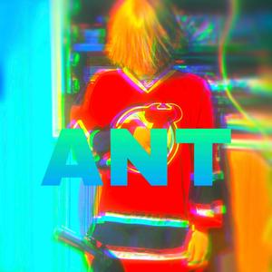 Ant (Explicit)