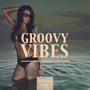 Groovy Vibes, Vol. 1 (Amazing Electronic Dance Music)