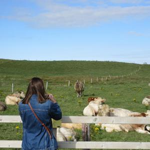 Trip down memory lane