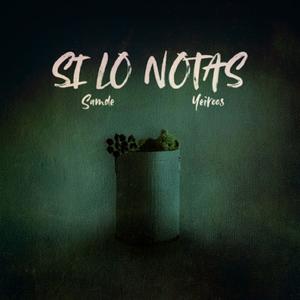 Si Lo Notas (feat. Yeiroos)