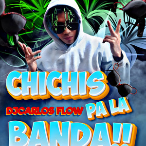 Chichis Pa la Banda (Remix Guaracha)