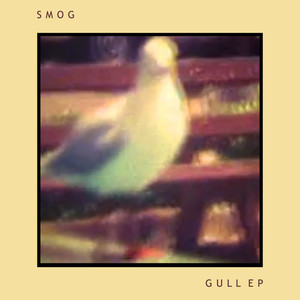 Gull