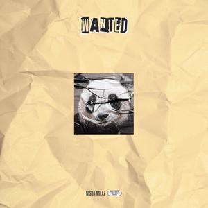 Wanted (Explicit)