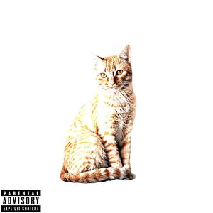 TENGO UNA GATITA (feat. YamBaä) [Explicit]