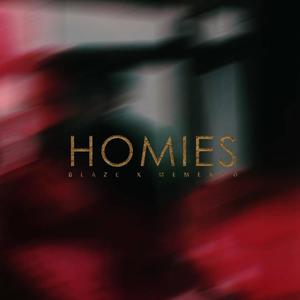 Homies (feat. Blaze Met) [Explicit]