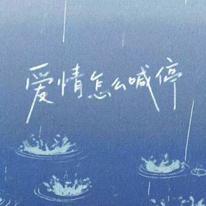爱情怎么喊停 (遗憾版)封面