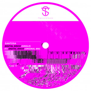 Digital Disco (Original Mix)