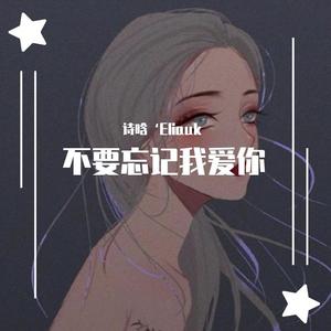 不要忘记我爱你 (翻自 张碧晨)